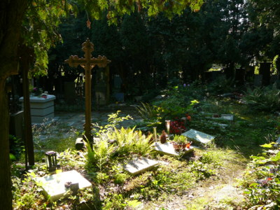 Hřbitov 7