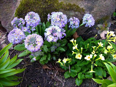 Už je to tady! Už je to tady! Už je to tady!