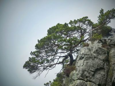 Na skále mám pěkný výhled.....