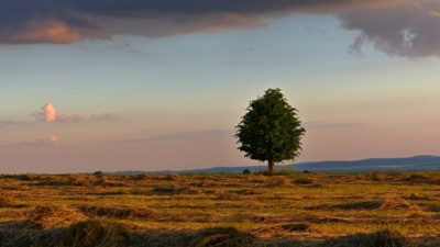 Vyhlížím západ slunce....