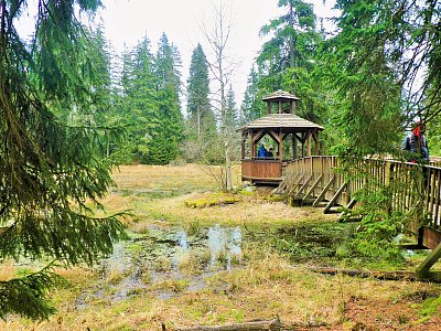 Odpočívadlo na Kladskej