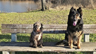 Jsme šťastné holky