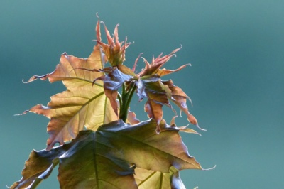 Užívám si posledního sluníčka........