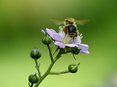 Jedna z tisíců....
