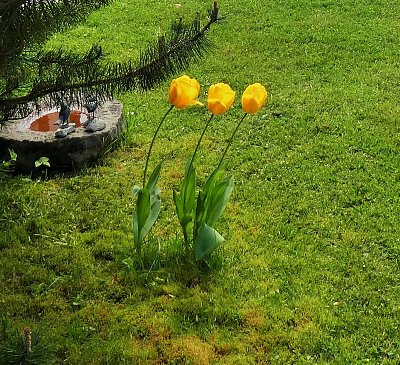 Ostali sme len tri...