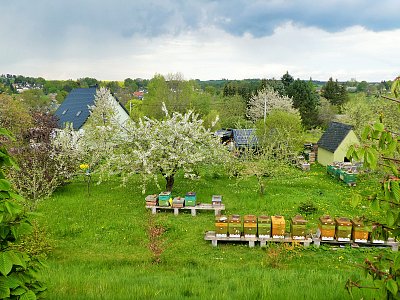Raj pre včielky...