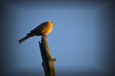 Při západu slunce....