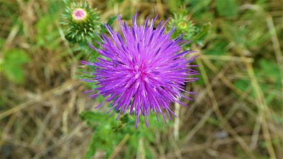 Dívej na tu krásu...