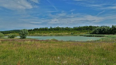 Tam ptáci, laně chodí pít...