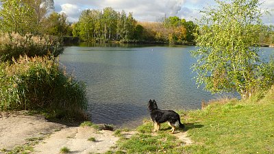 Sbohem léto