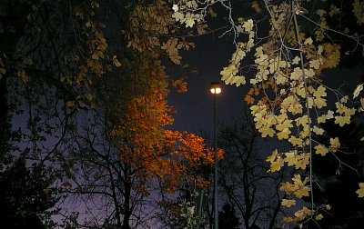 Podzimní večer