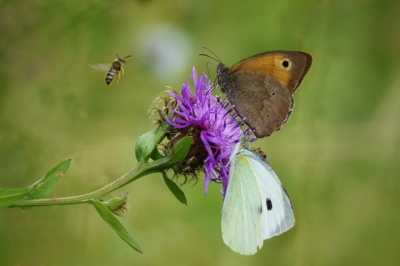 Je tam ještě místo....