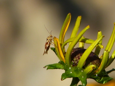 Nevím kdo jsem???? (neupraveno)