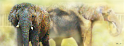 My se vrásek nebojíme