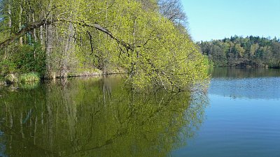 Městský rybník Čepelský