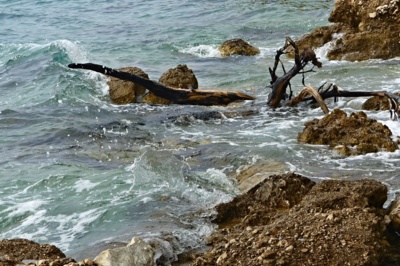 Připlavala příšerka...