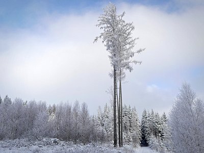 Poslední čtyři...