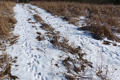 Zaječí dálnice...