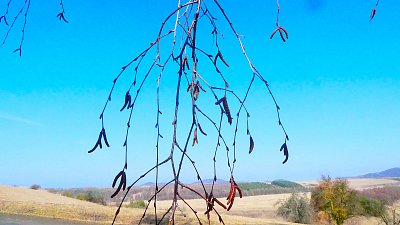 Březen, brána jara