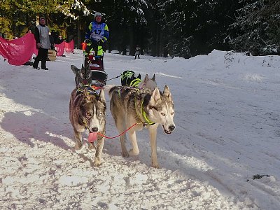 Do kopce to jde pomalu*