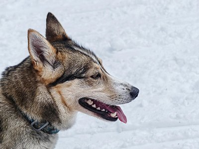 Portrétovka před startem....