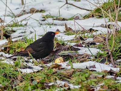 Jsem šikovný..... *