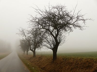 Poslední zbytečky sněhu se ztrácí v mlze....