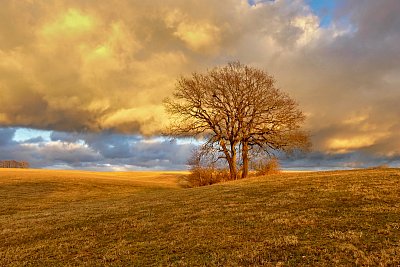 V únorové zlaté hodince...