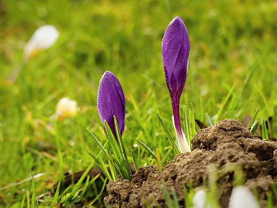 Bratři z "krtičáku"...