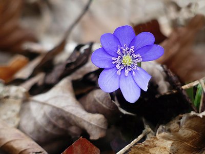 Někdo si na mně pochutnal....