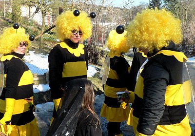 Už vyletěly i včelky