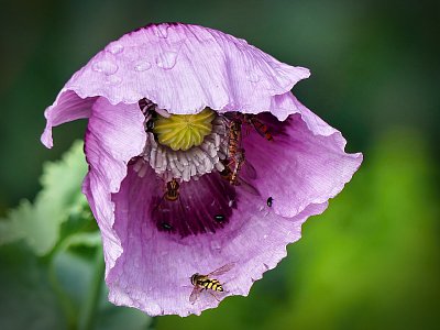 Je tam nějaká fronta...asi mají máslo za 39.90 Kč!