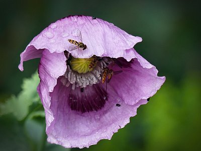 Vejdu se tam ještě?