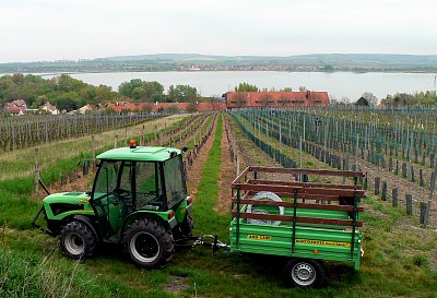 Traktor ve vinohradu
