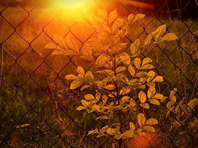 Když sluníčko zapadá....