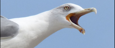 Dovolenáááááááá