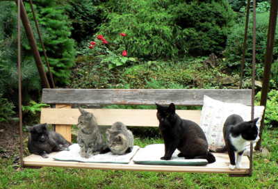 Máš smůlu, je obsazeno...