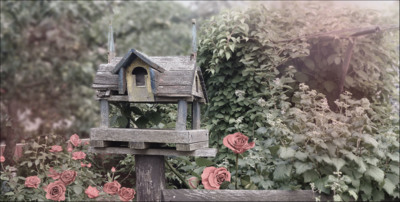 Jak to bylo, pohádko ?