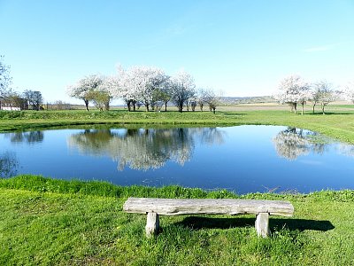 Pohádka u rybníka....