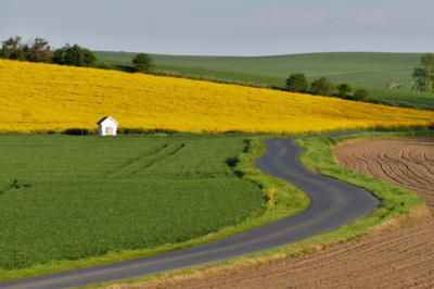 Vracím se na stejná místa...