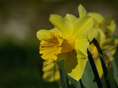Tentokrát do žluta...
