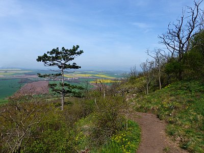 Cestou ze Řípu....
