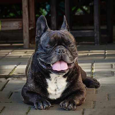 Procházka byla náročná*