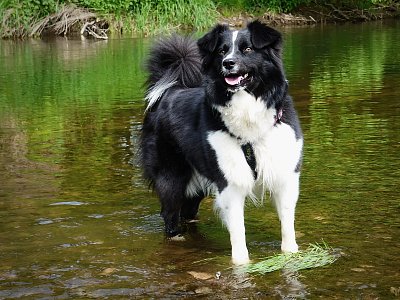 Je teplo...bude koupel....