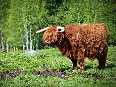 POMOOC!!! Já nevidím!!!