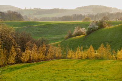 Zlatá hodina - Hluzov