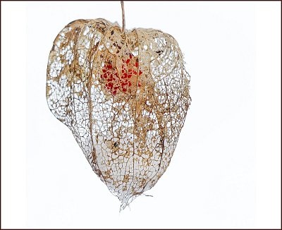 Zapomenutá II  (opravila jsem ji)