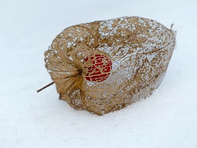 Ještě jedna zapomenutá....