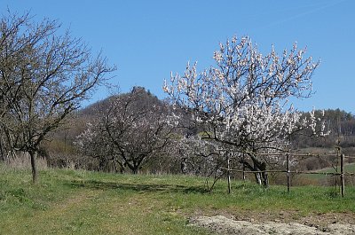 Toulky Českým středohořím - zřícenina hradu Oltářík