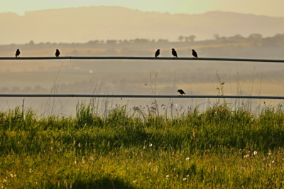 Čekání na zkoušku sborového zpěvu:-).